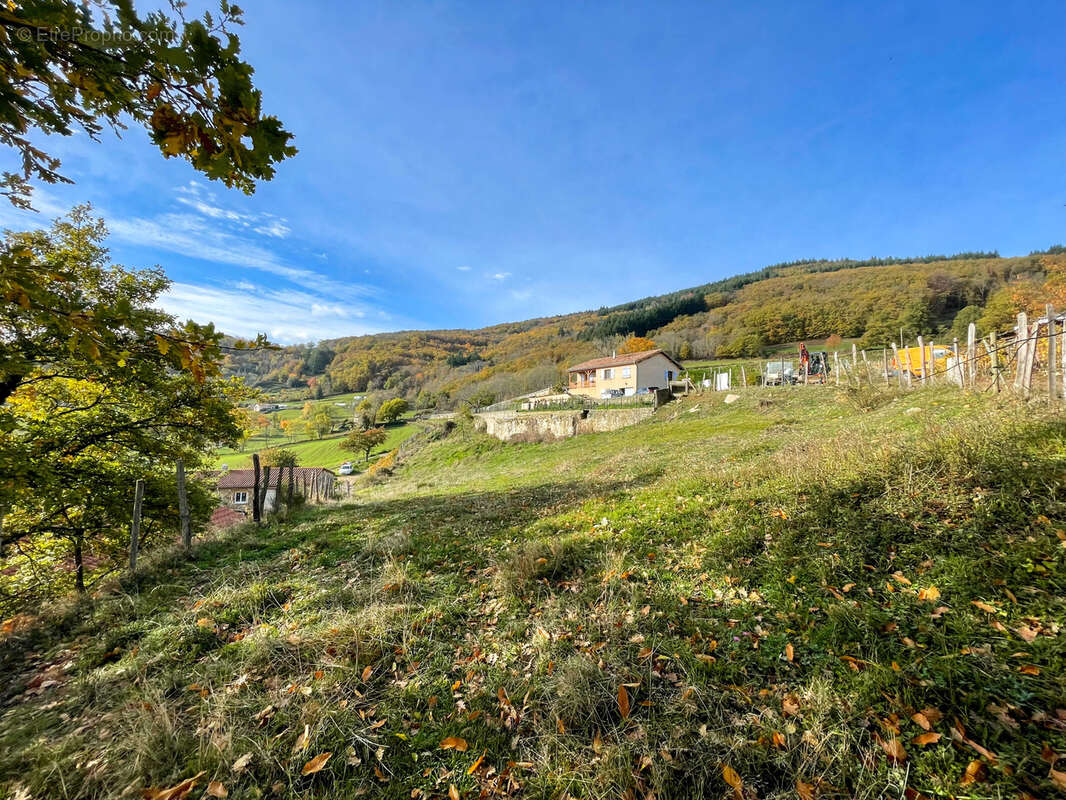 Terrain à CHUYER