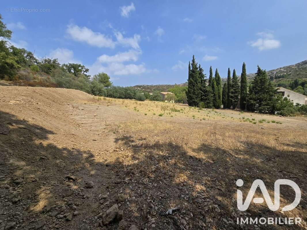 Terrain 2953 m² à Feuilla  - photo 5