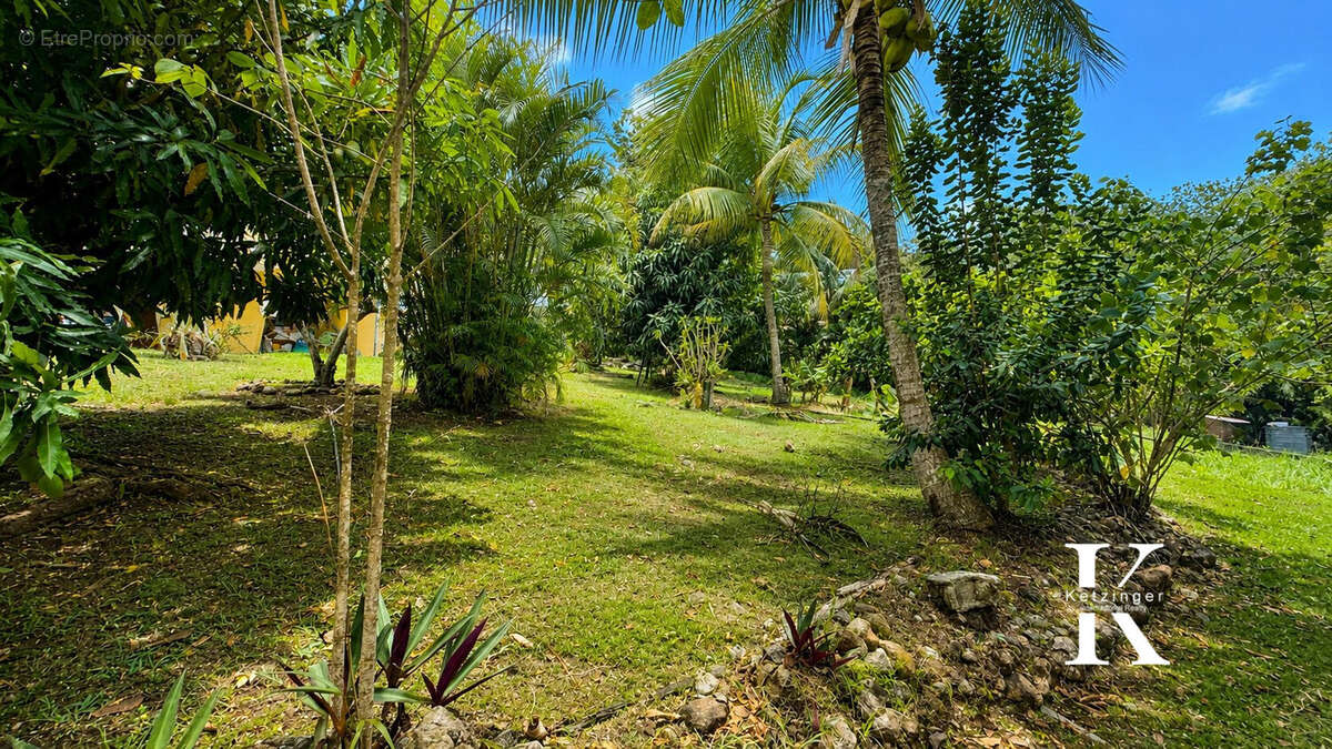 Jardin