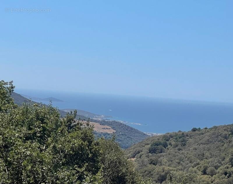Propriano-Corse du Sud Maison 9 pièces de 170 m2 - photo 3