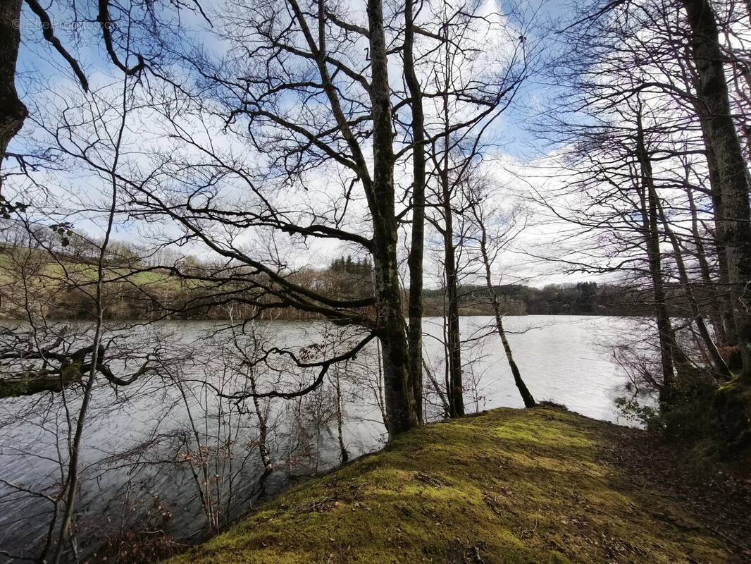 Terrain à PONT-DE-SALARS