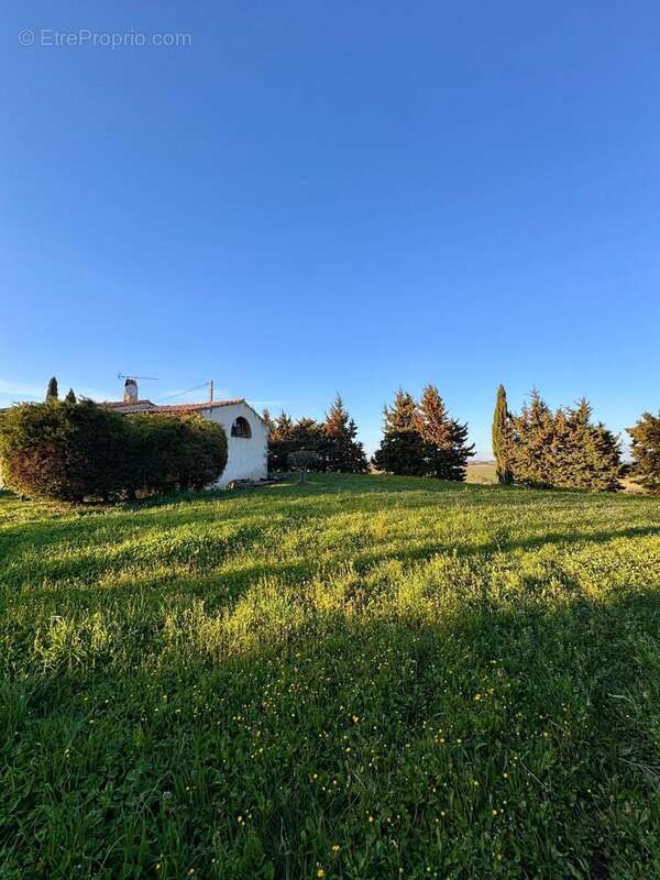 Photo 5 - Maison à AVIGNONET-LAURAGAIS