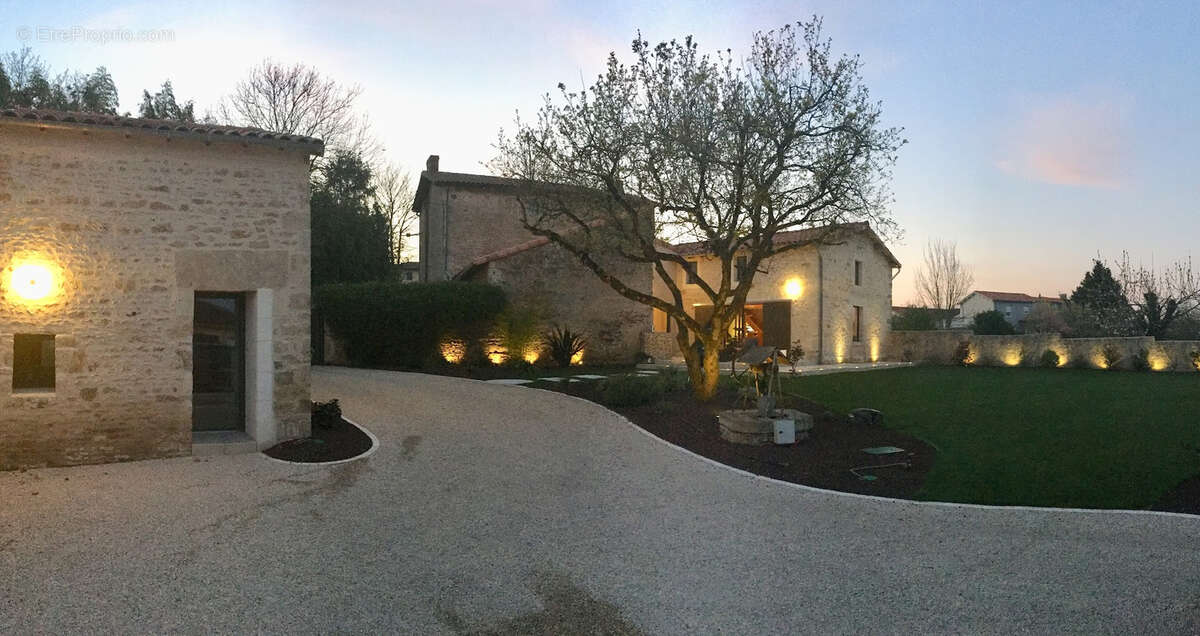 Coup de coeur à EXIREUIL - photo 2