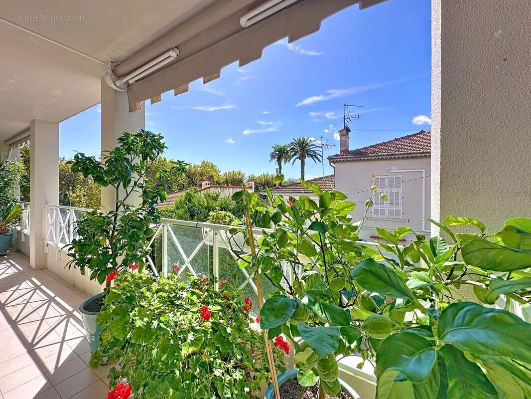 Basse californie 3p 86 m²  piscine terrasse de 25 m² - photo 5