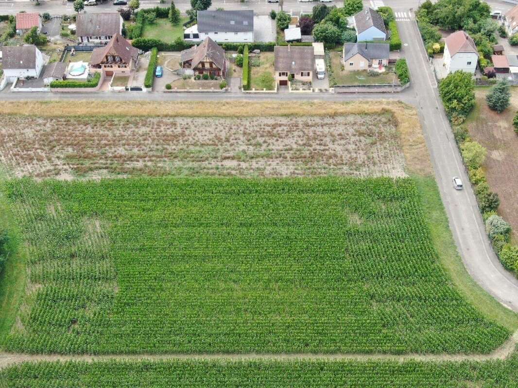 Photo 2 - Terrain à ALGOLSHEIM