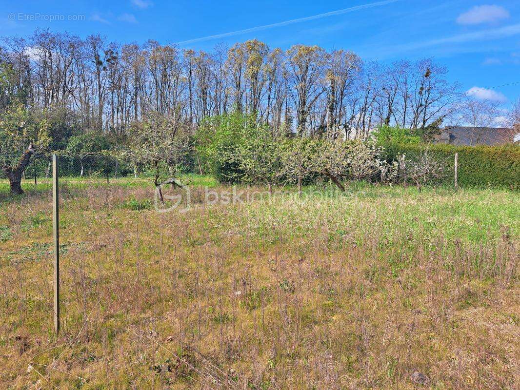 Terrain à TRUYES