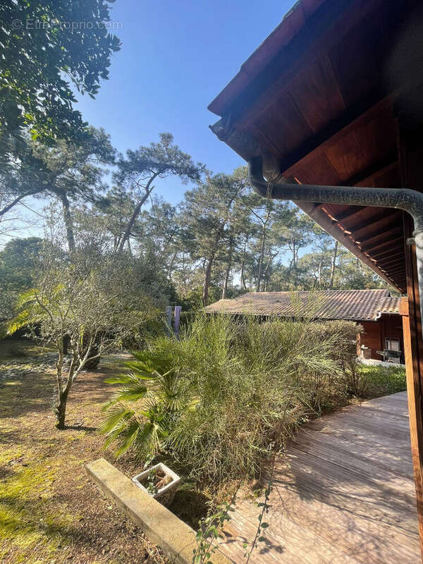 Maison à LEGE-CAP-FERRET