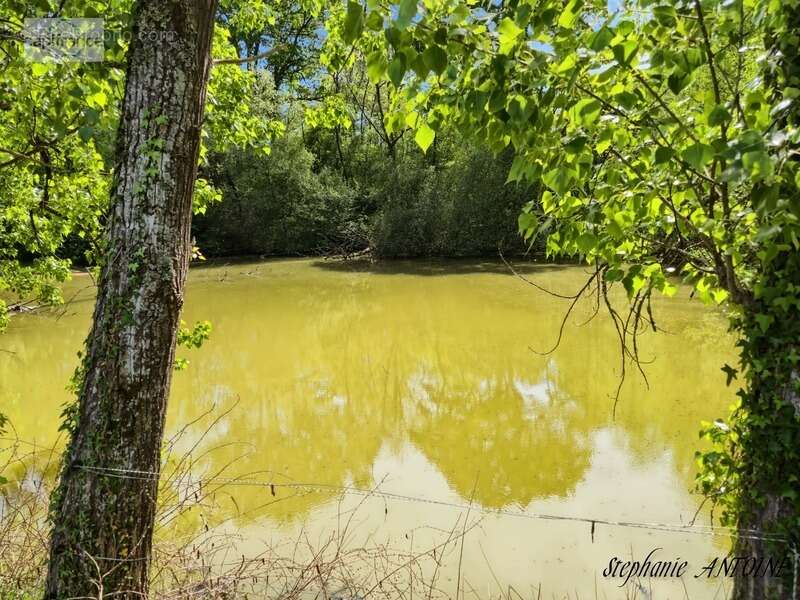 Propriété de caractère – 6,7 hectares – dépendances – ossages - photo 27