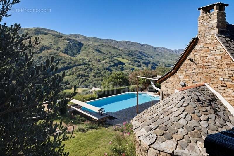 Maison à VIEILLEVIE