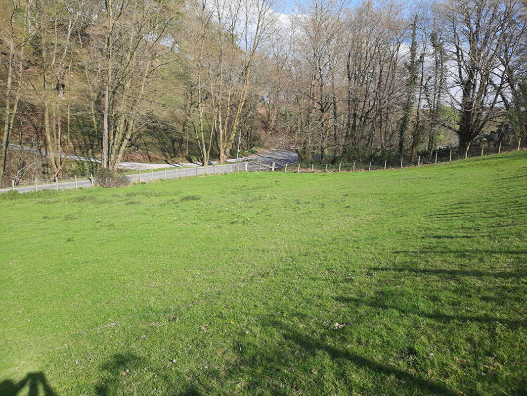 Terrain à SARE