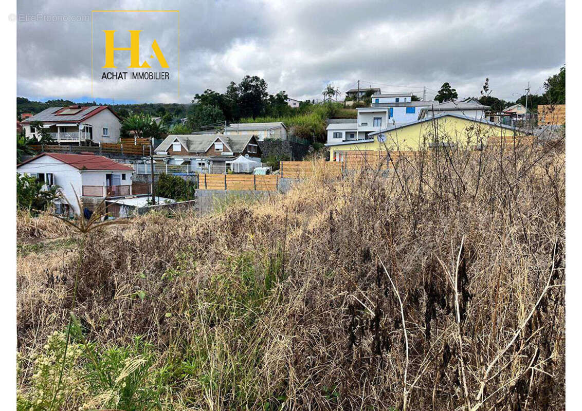 Terrain à SAINT-PAUL