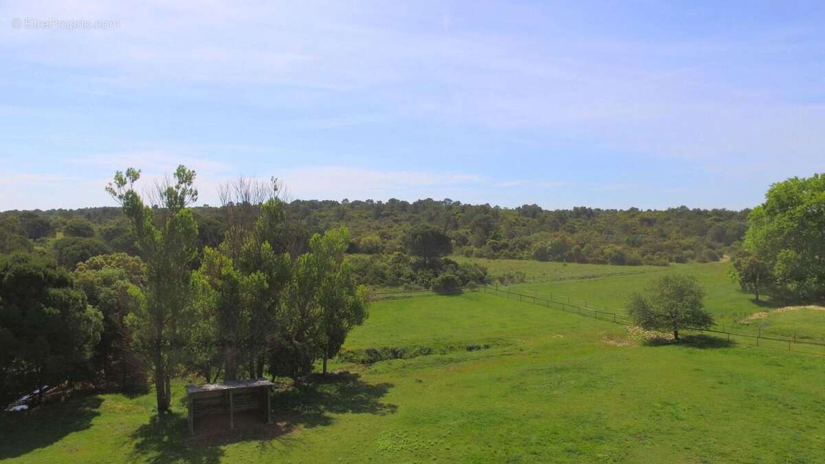Photo 9 - Maison à NIMES