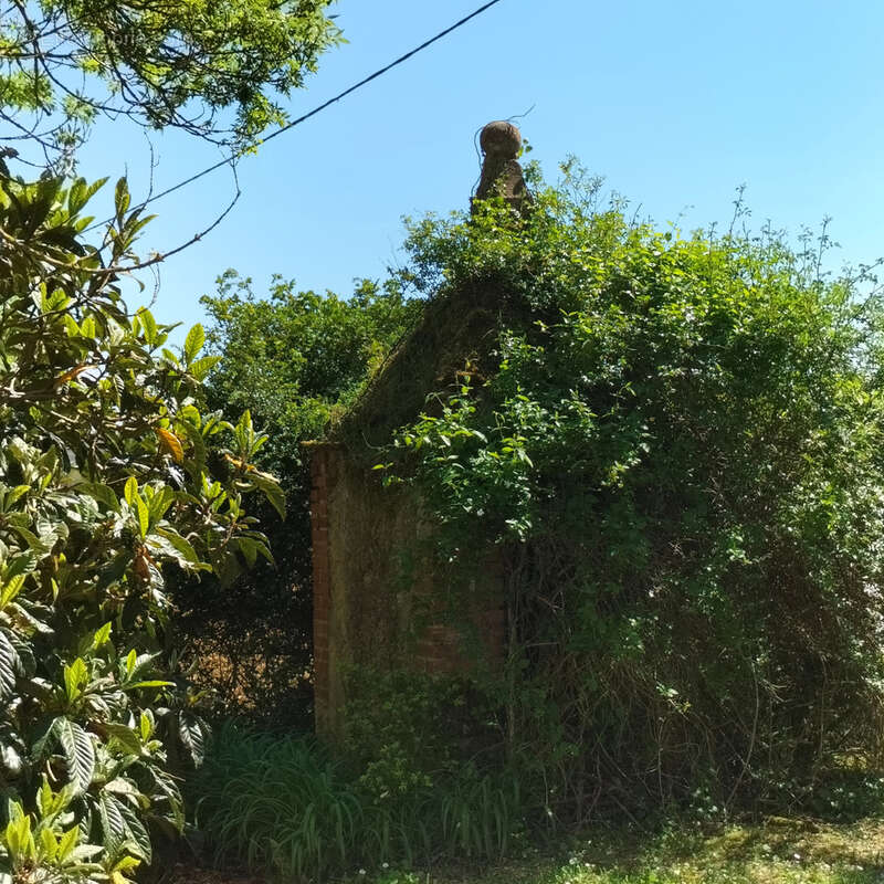 maison gasconne  de 1844, vue , 15min de Mirande 20min Auch - photo 11