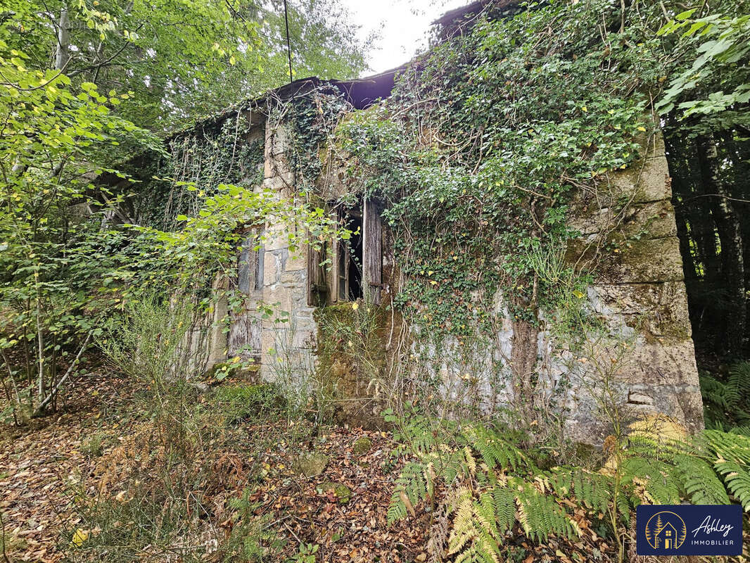 Maison 30 m² à Ambrugeat  - photo 4