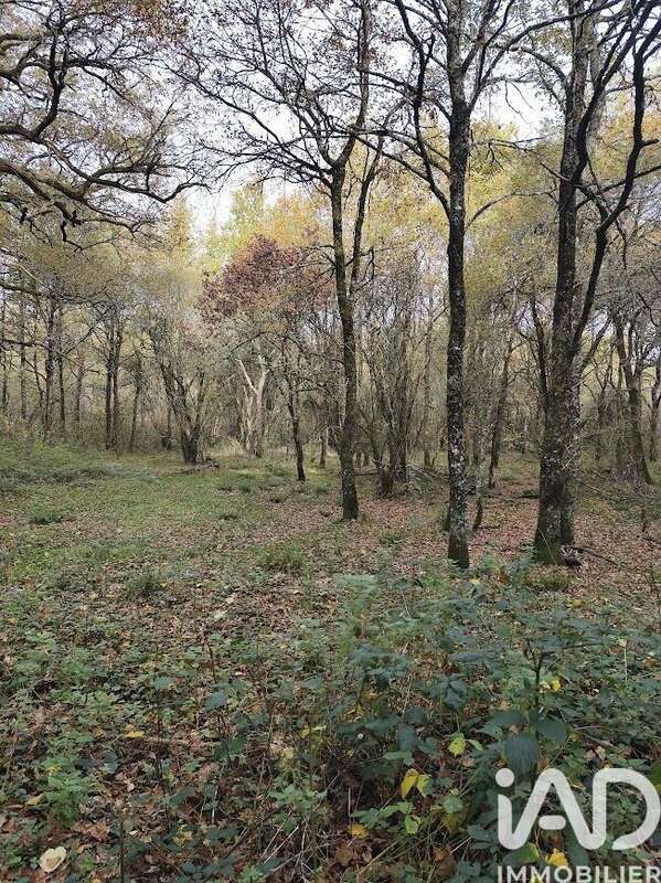 Photo 7 - Terrain à GAJOUBERT