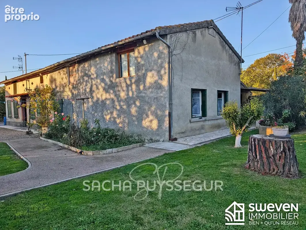 Maison 10 pièces 294 m² à vendre à Muret (31600) - photo 4