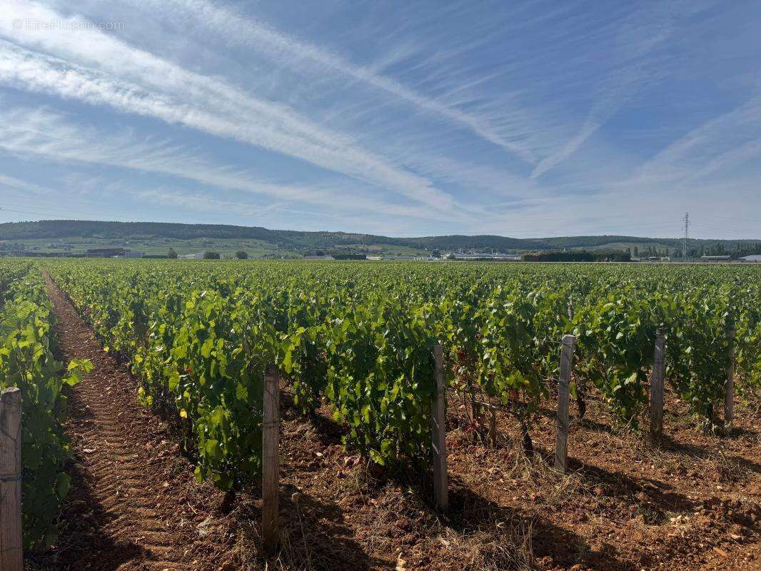 Appartement T3 de 2019 avec terrasse, jardin et 2 stationnements – Gevrey-Chambertin - photo 18