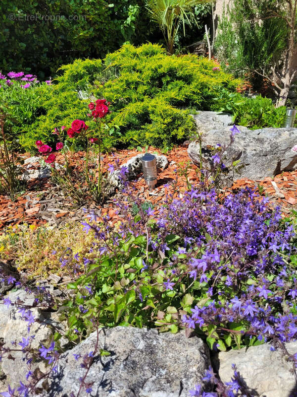 Maison à VILLEMOUSTAUSSOU