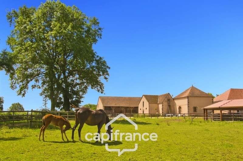 Maison à YGRANDE