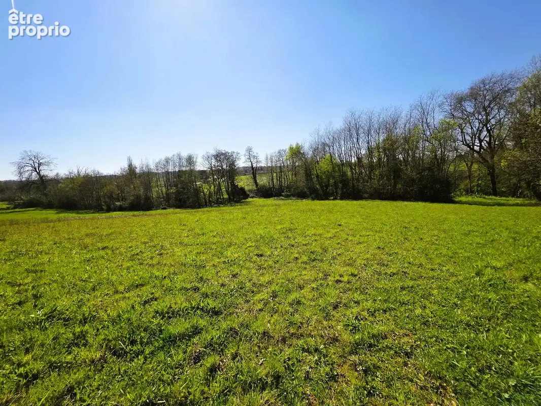Vente Terrain Agricole Proche Monségur - photo 2