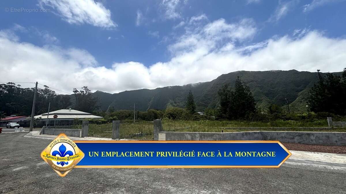 Terrain à LA PLAINE-DES-PALMISTES