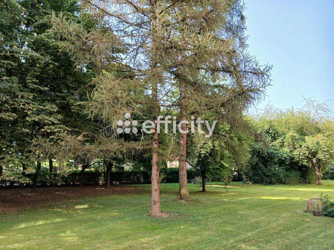 Appartement - photo 7
