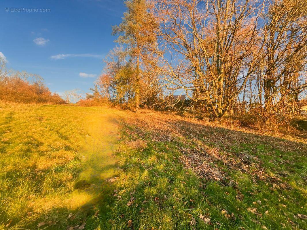 Terrain à CHAMPCEVINEL