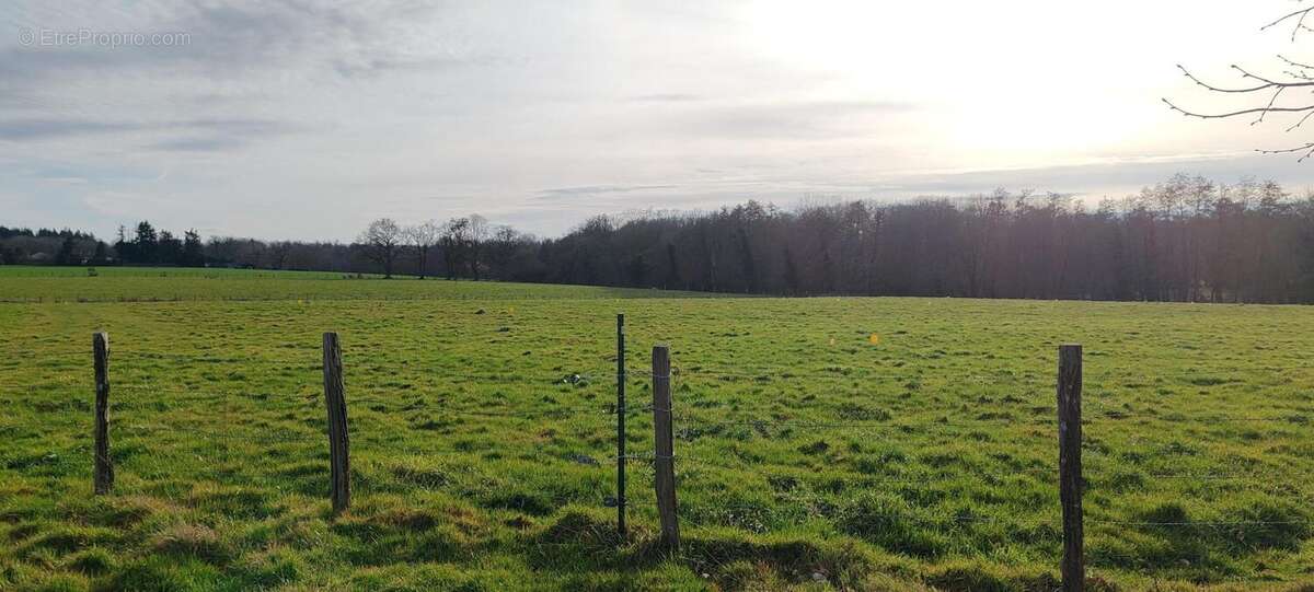 Photo 2 - Terrain à DOMPIERRE-SUR-VEYLE