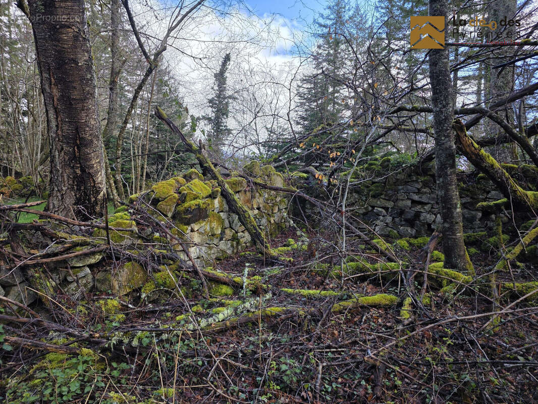 Terrain à ARRAS-EN-LAVEDAN
