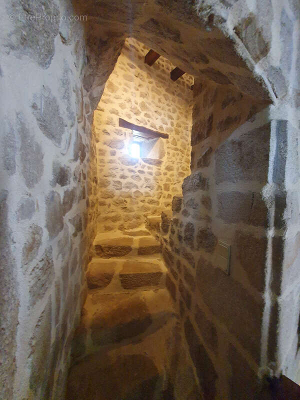 Magnifique propriété du 17éme, 2,5 ha prairie attenant, piscine, proche bourg tous commerces. - photo 12