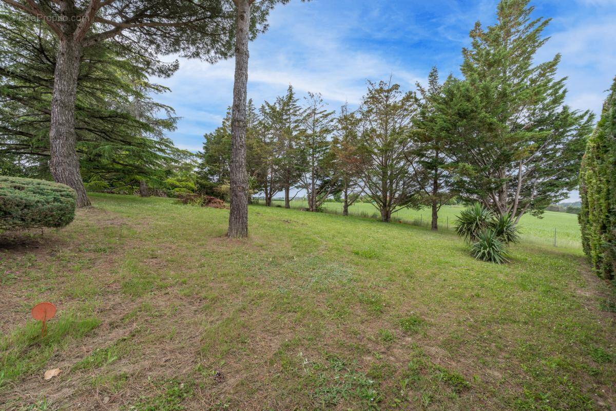 Terrain à PIN-BALMA