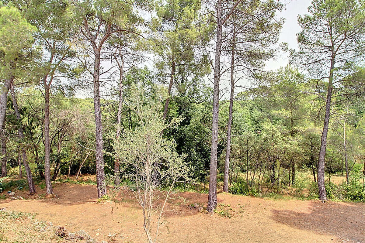 A VENDRE DRAGUIGNAN- Maison spacieuse avec PISCINE et terrain clos et arboré de 4000m² - Un véritable coup de coeur ! - photo 20