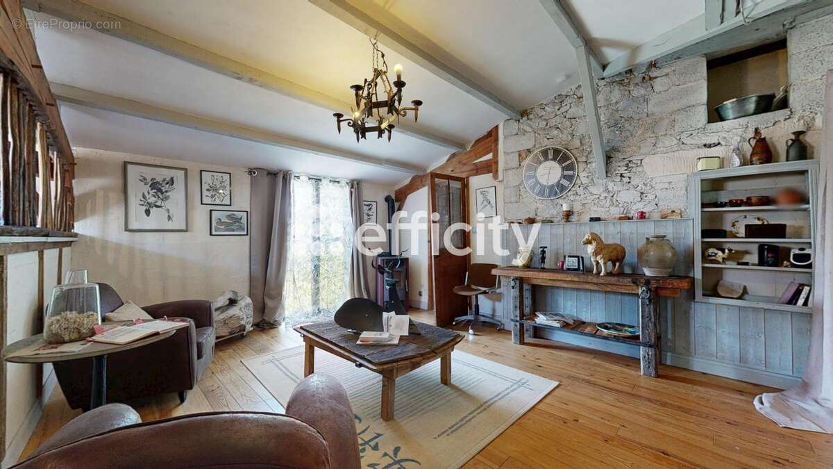 Maison 378 m² à Montet-Et-Bouxal  - photo 8