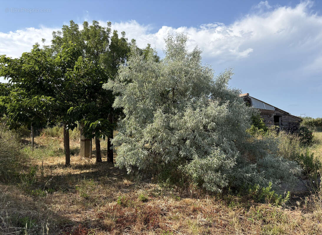 Terrain à FOUZILHON