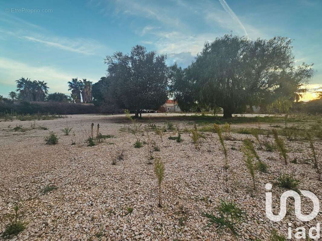 Photo 5 - Terrain à PIA