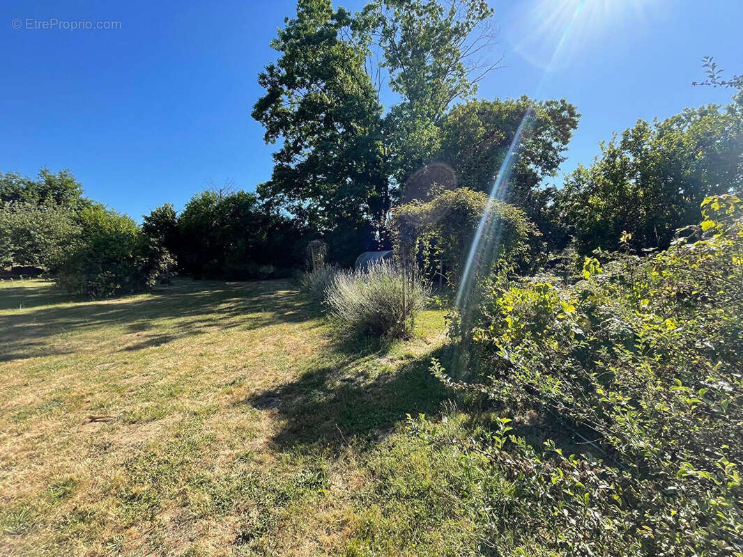 Maison à CHATEAU-CHERVIX