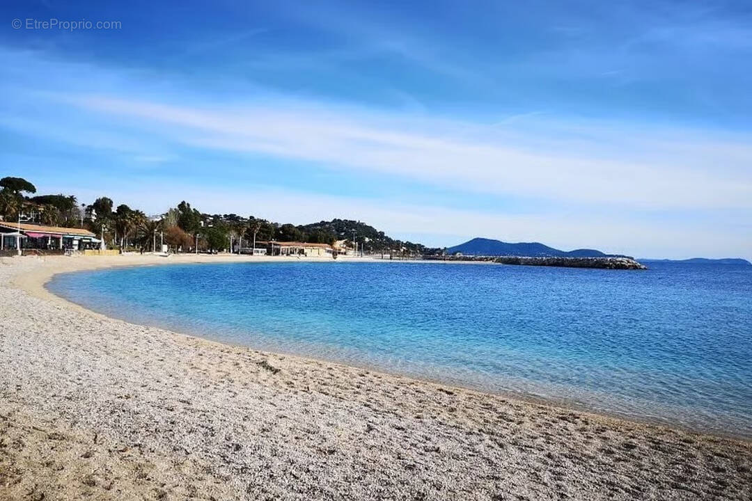 Commerce à TOULON