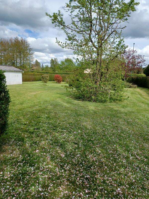 Maison à LA BARRE-EN-OUCHE