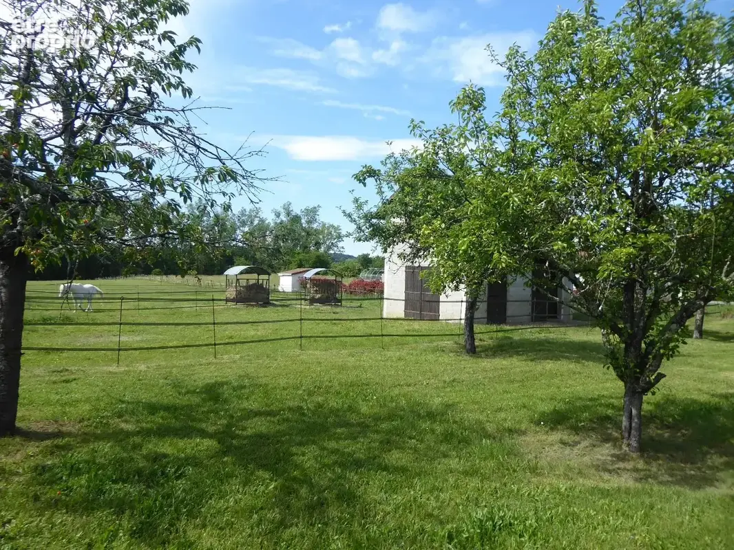Maison sur grand terrain - photo 9