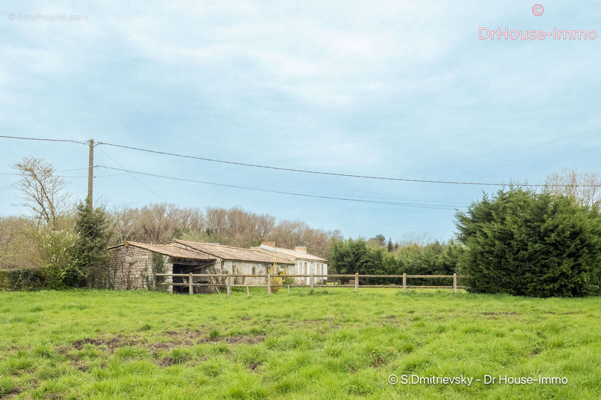 Maison 800 m² à Saint-Vivien-De-Medoc  - photo 24