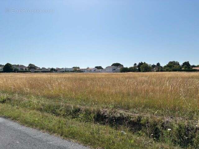 Terrain à SAINT-PALAIS-SUR-MER