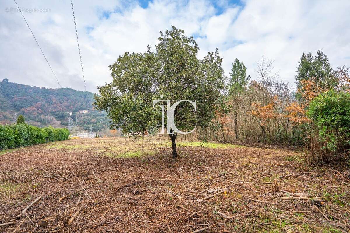 Terrain à CHAMBONAS