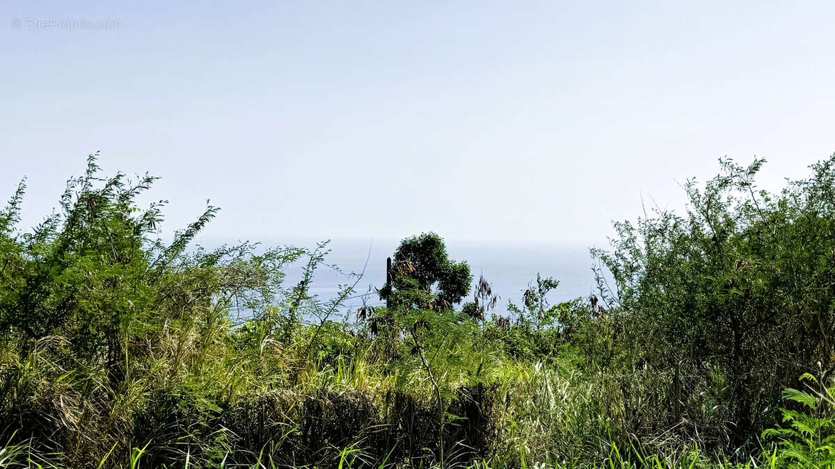 Terrain à VIEUX-HABITANTS