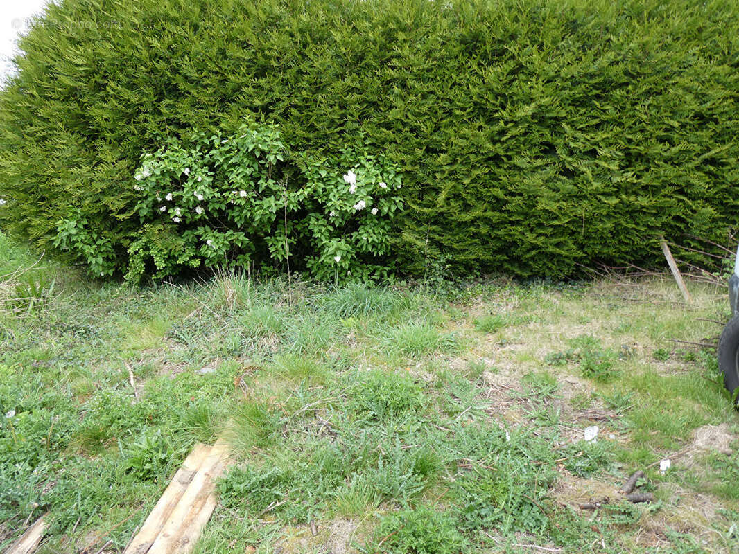 Maison à AMBRIERES-LES-VALLEES