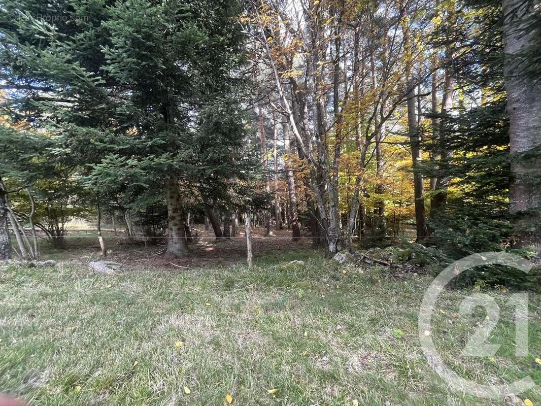 Terrain à BURDIGNES