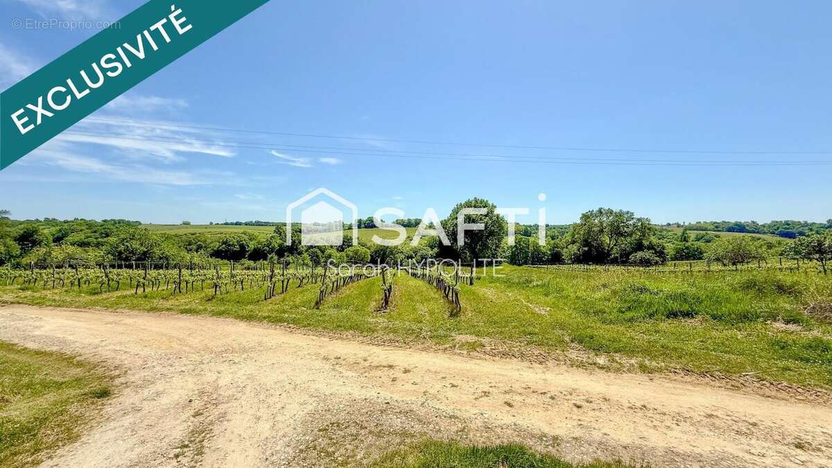 Photo 2 - Terrain à CREON