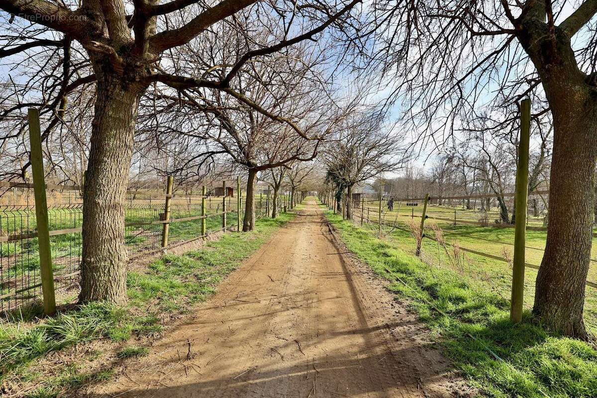 Photo 3 - Maison à VALENCE