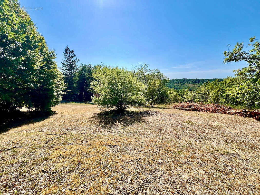 À quelques minutes du centre de Laroque-Timbaut, venez découvrir cet ensemble immobilier  d'environ 150 m² avec gîte et piscine, - photo 16