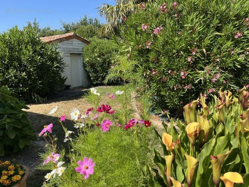 Maison à vendre 7 pièces MACHECOUL (44) - photo 5