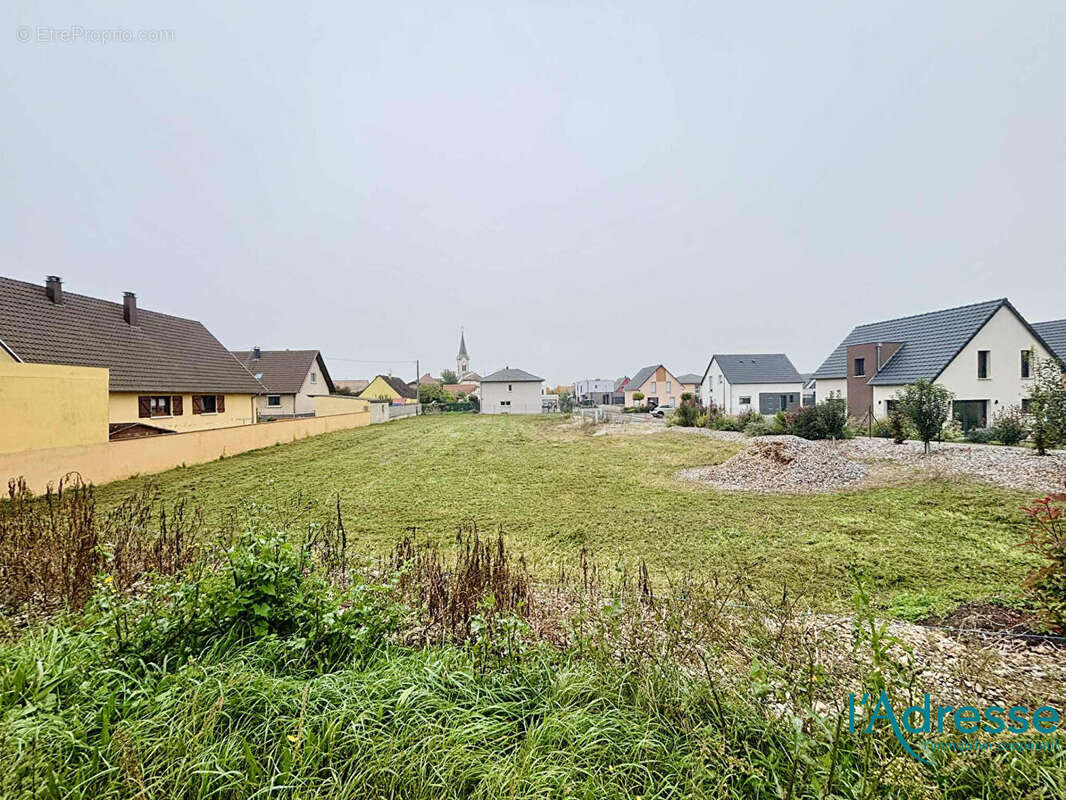 Terrain à WECKOLSHEIM